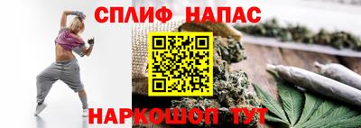 гидра Новокубанск