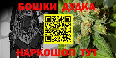 гидра Новокубанск